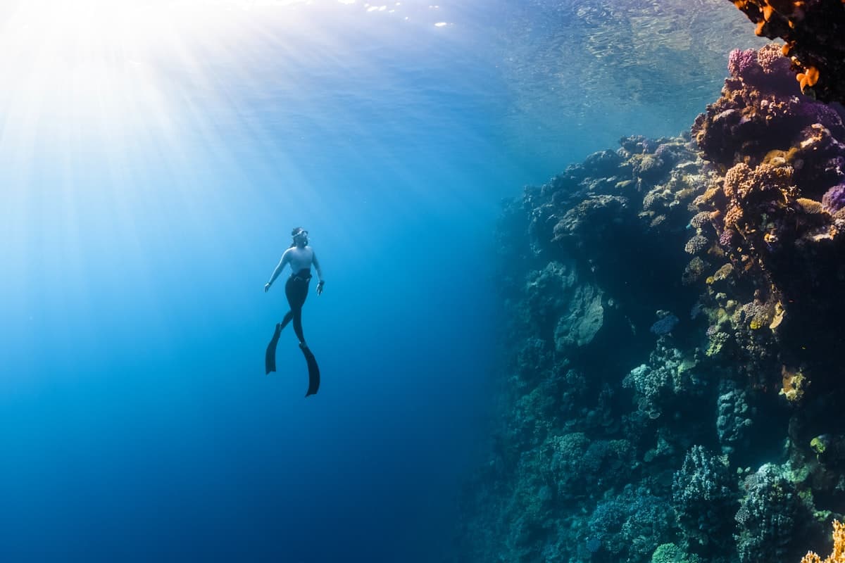 Levan Reef